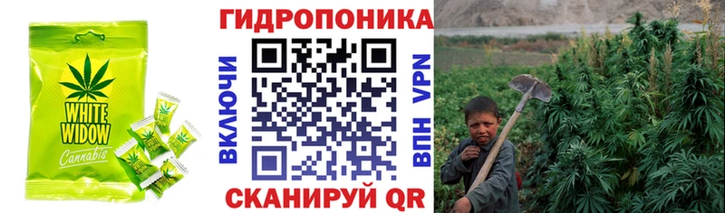закладка  гидра ссылка  Cannafood марихуана  Спас-Клепики 