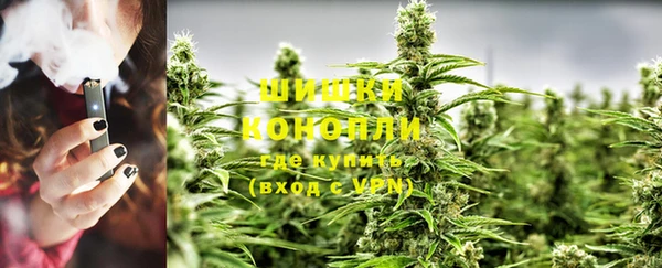 ALPHA PVP Бикин