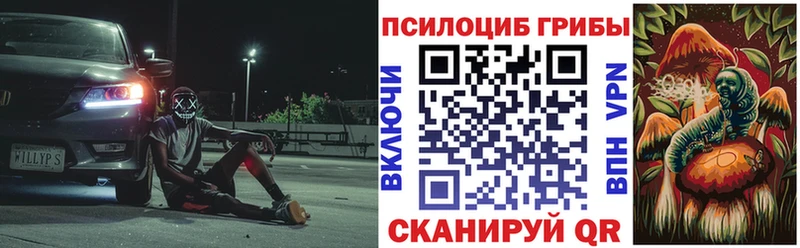 Псилоцибиновые грибы MAGIC MUSHROOMS мега зеркало Спас-Клепики наркотики